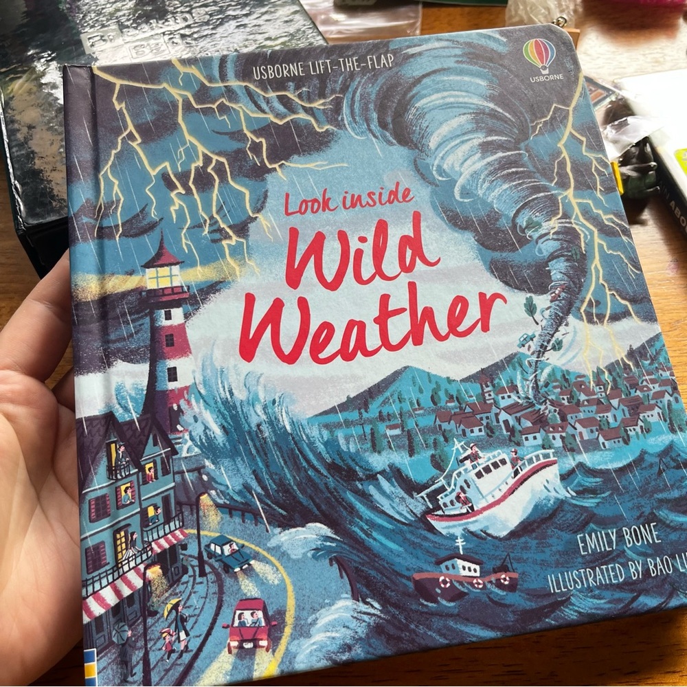 Look Inside Wild Weather lift the flap brand new book #kidcore